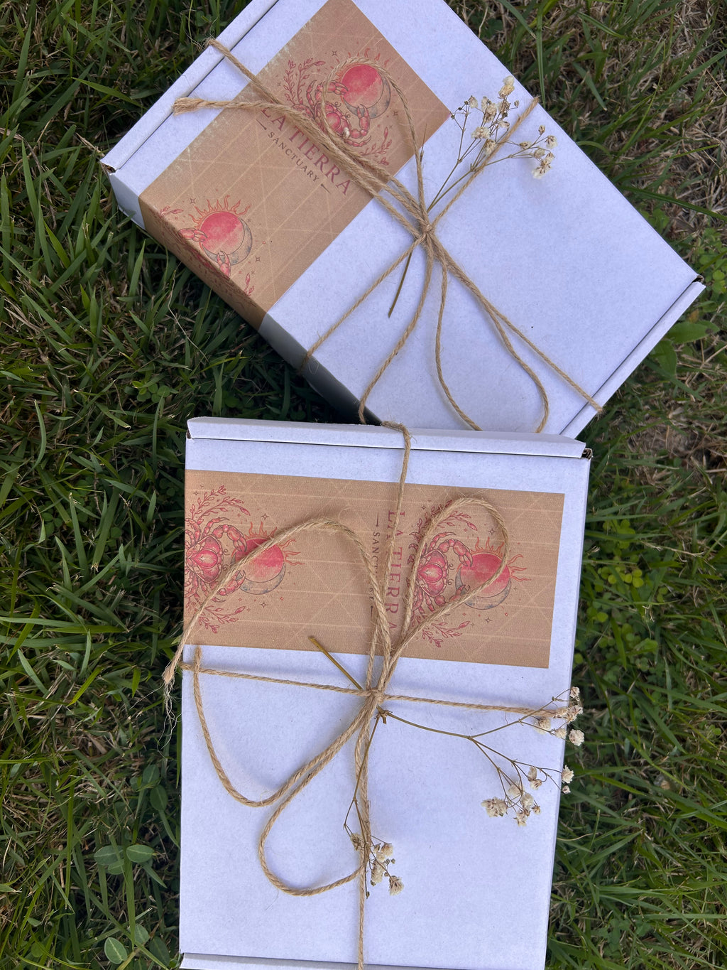 Surprise Boxes