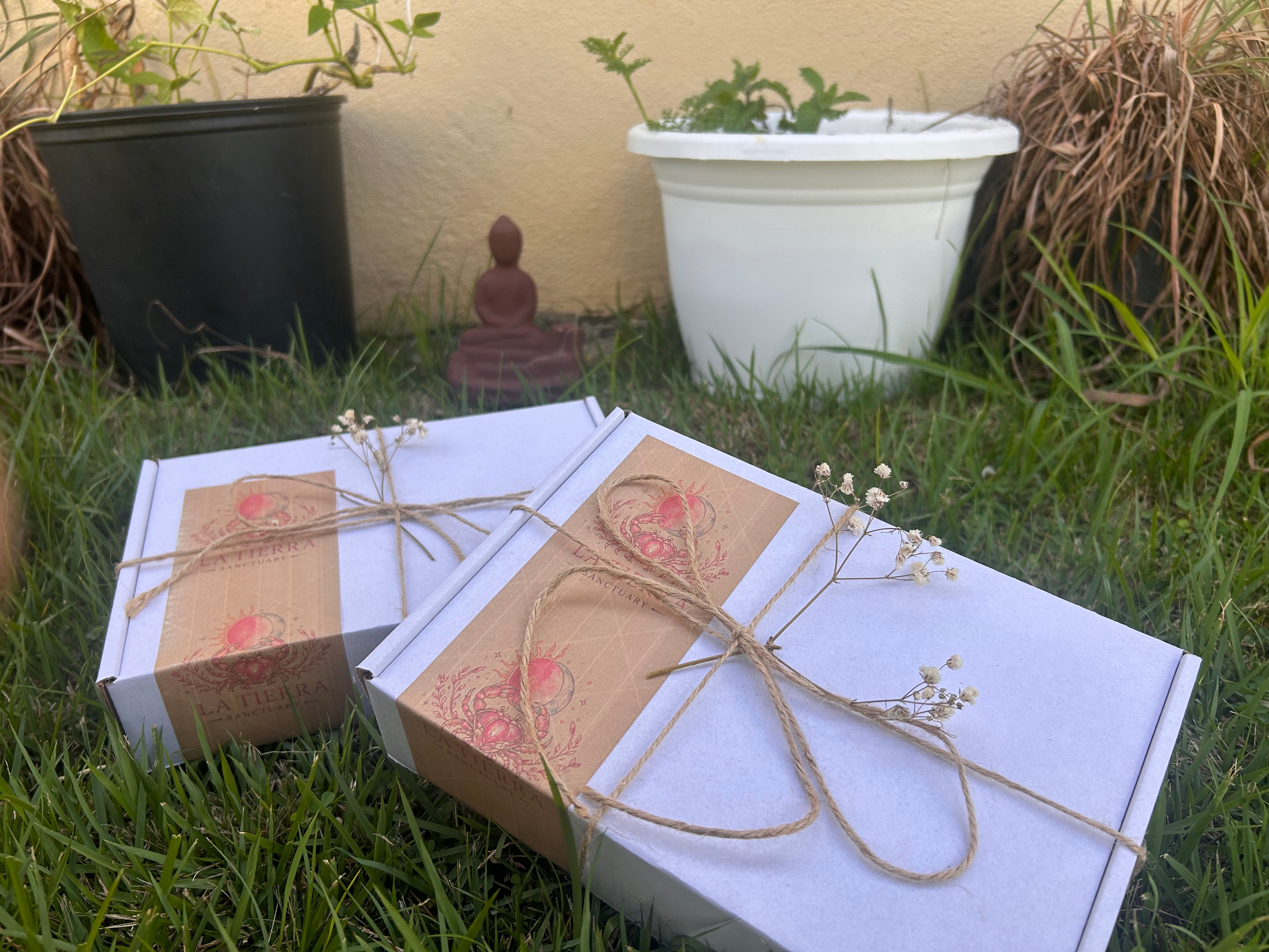 Surprise Boxes