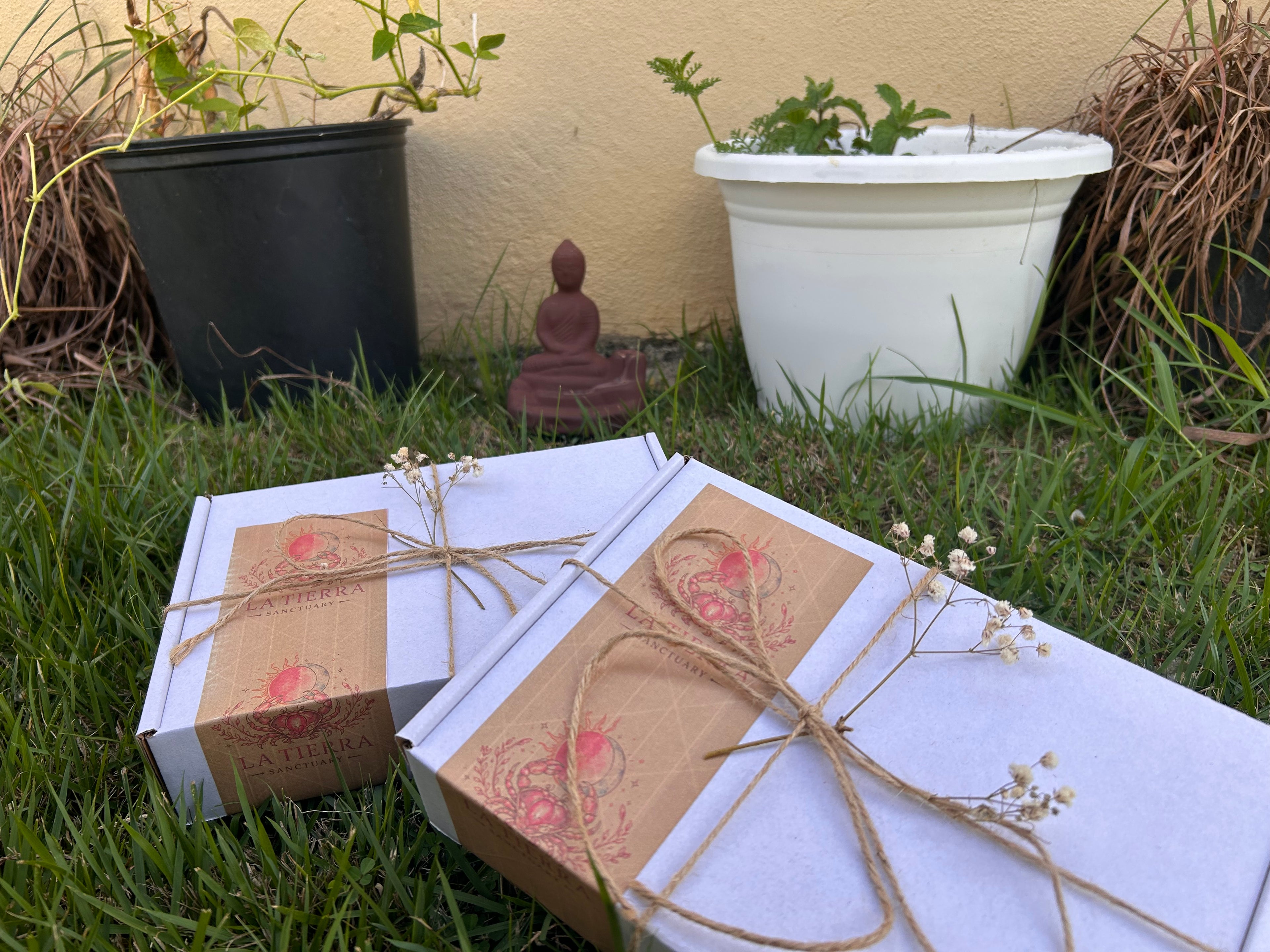 Surprise Boxes